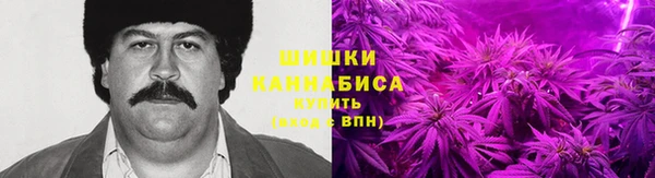 apvp Алзамай