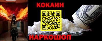 индика Можга