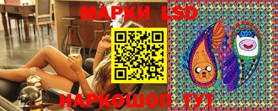 индика Можга