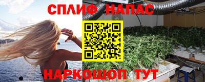 индика Можга