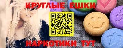 индика Можга