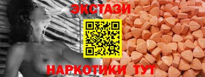 индика Можга