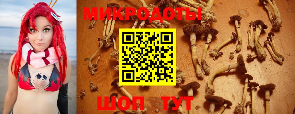 Владивосток  Галлюциногенные грибы GOLDEN TEACHER  Вход с VPN 